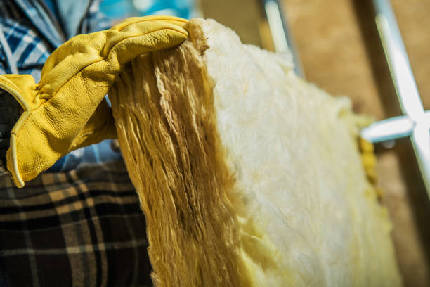 Best Eco-Friendly Insulation in Peru, IL