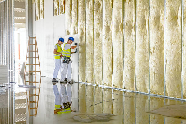 Types of Insulation We Offer in Peru, IL